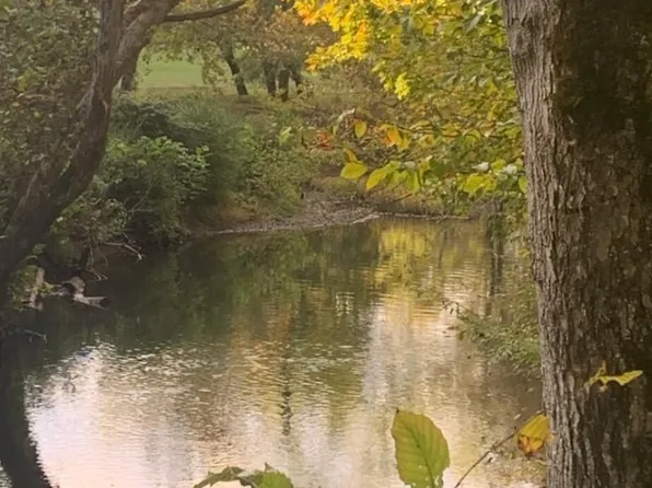 2168 Fairview Rd, Tellico Plains, TN 37385