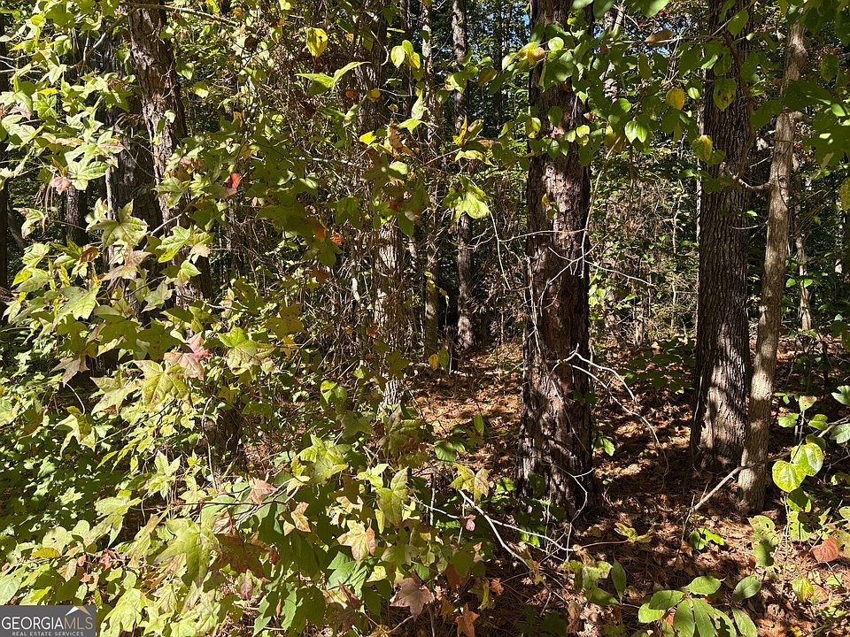 1st image of 0 Dorsett Shoals Rd