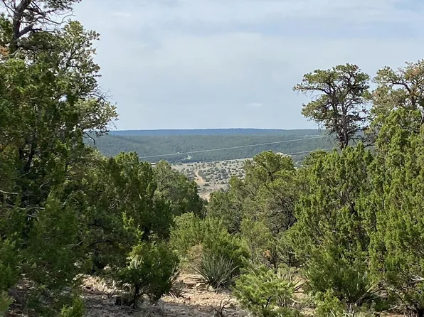 5 Morman Rd, Edgewood, NM 87015