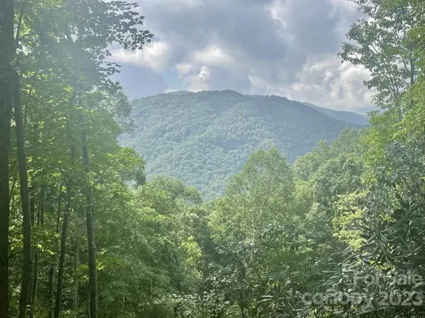 39 High Springs Rd, Bryson City, NC 28713