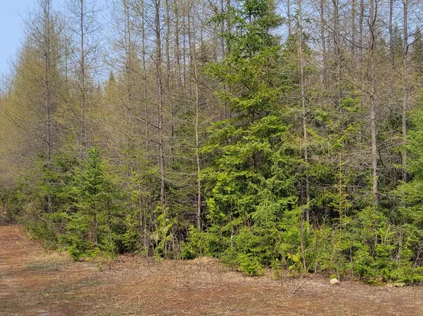 Map32 Lot1 Doucette Road, Grand Isle, ME 04746