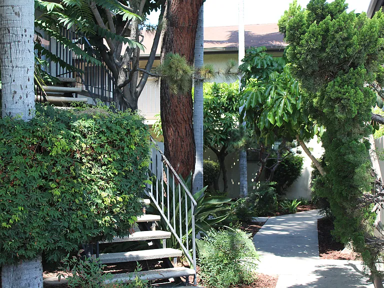 Palm Villa Apartments — Photo 19