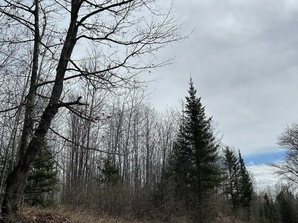 Tbd Net River Rd, Crystal Falls, MI 49920