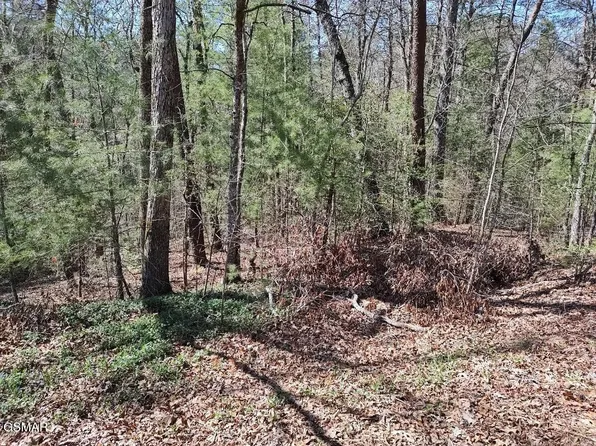 LOT 10 John Boy Trl, Sevierville, TN 37862