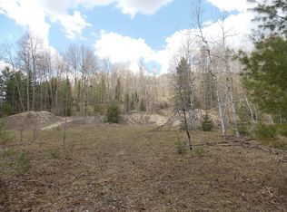 Riverside Trl, Wolverine, MI 49799