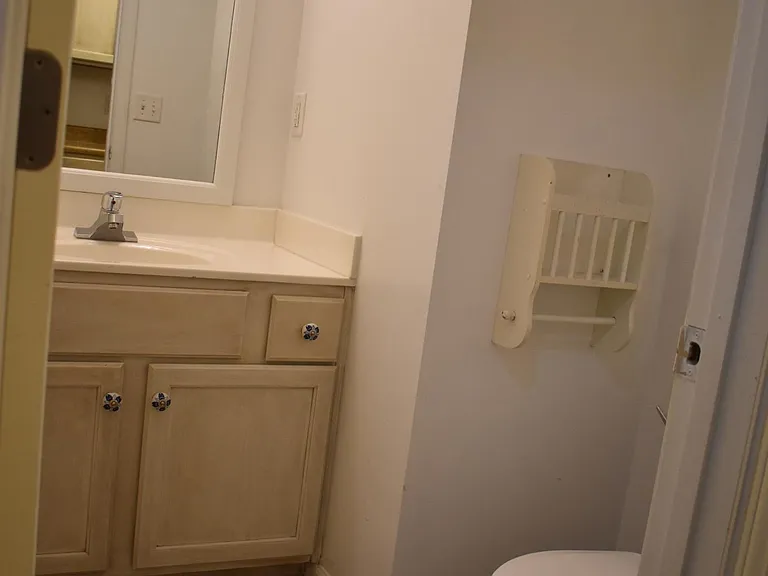 840 Whitetail Ct — Photo 19