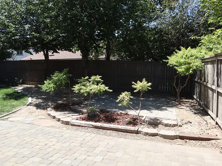 540 Needles Ct — Photo 6