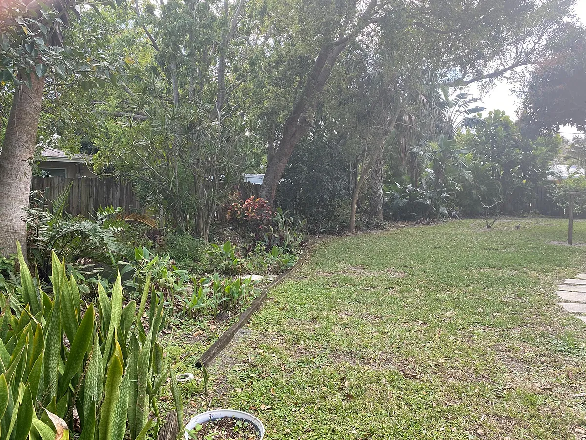 Backyard with privacy fence - Coral Ave