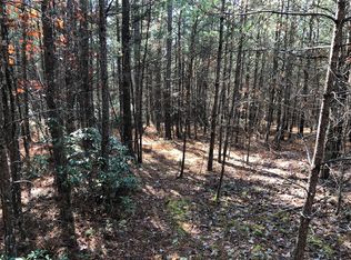 Tract G Lignite Rd, Oriskany, VA 24130