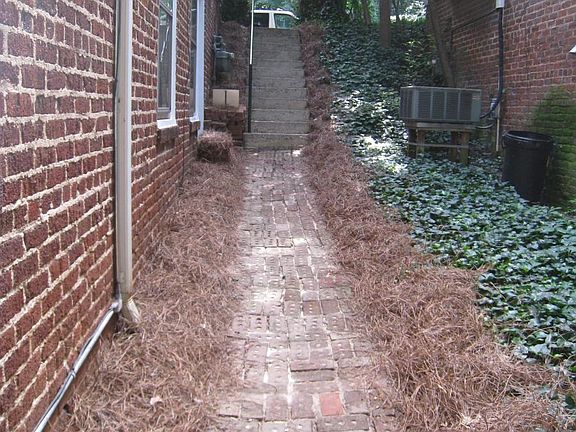 walkway to steps