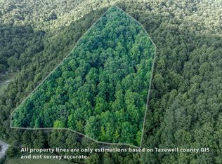 Dryfork Rd, North Tazewell, VA 24630