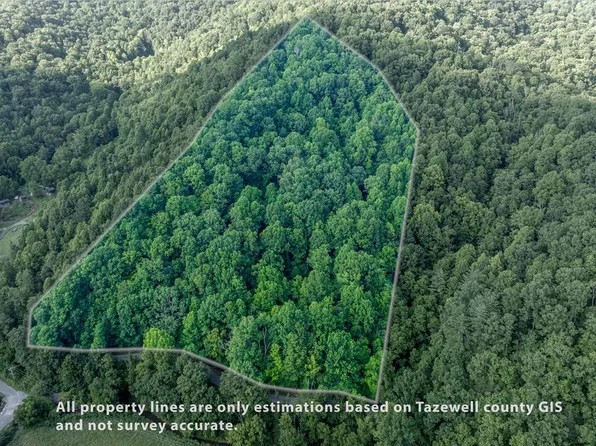 Dryfork Rd, North Tazewell, VA 24630