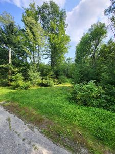 Noyes Street, Bethlehem, NH, 03574