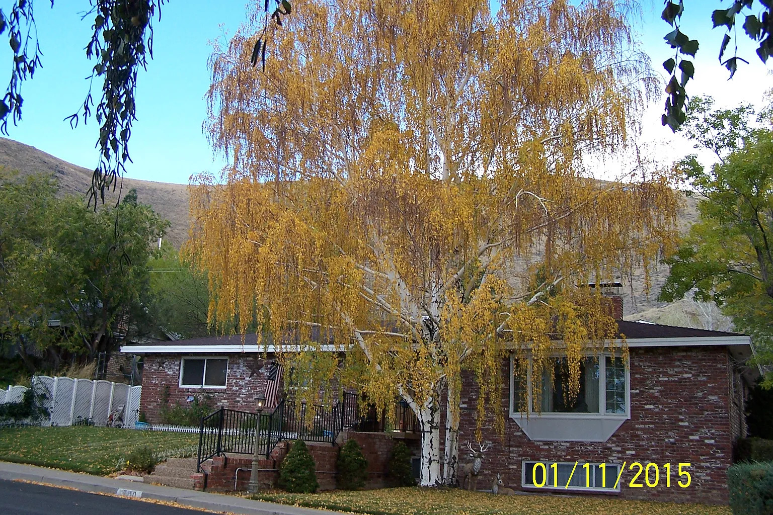 700 Terrace St photo 1