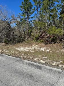 SW 77th Ter LOT 15, Ocala, FL, 34473