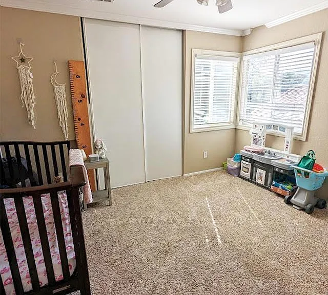 29713 Nandina Dr — Photo 30