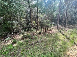 Del Monaco Ave LOT 11, Interlachen, FL 32148