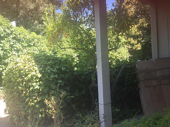 4th image of 7 Fern Ln