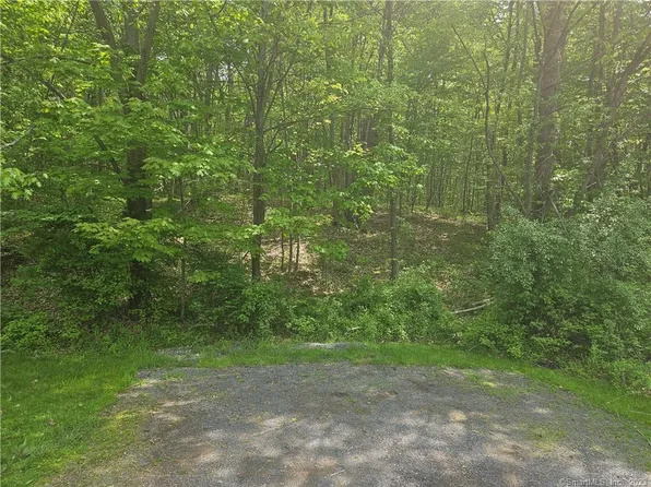 0 Shelley Road, Bethel, CT 06801
