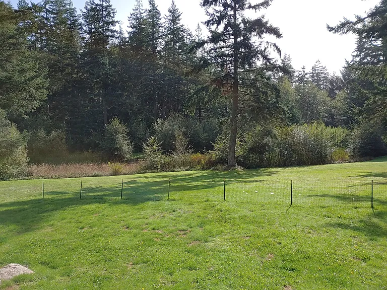 925 Classic Rd — Photo 24