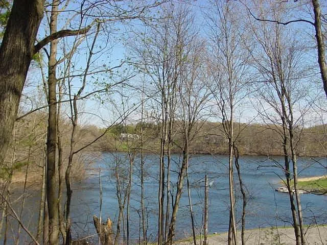 View from deck