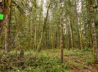 Marbrook Ln, Blue River, OR 97413