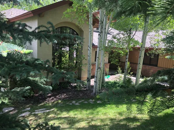 223 Remington Trl, Edwards, CO 81632