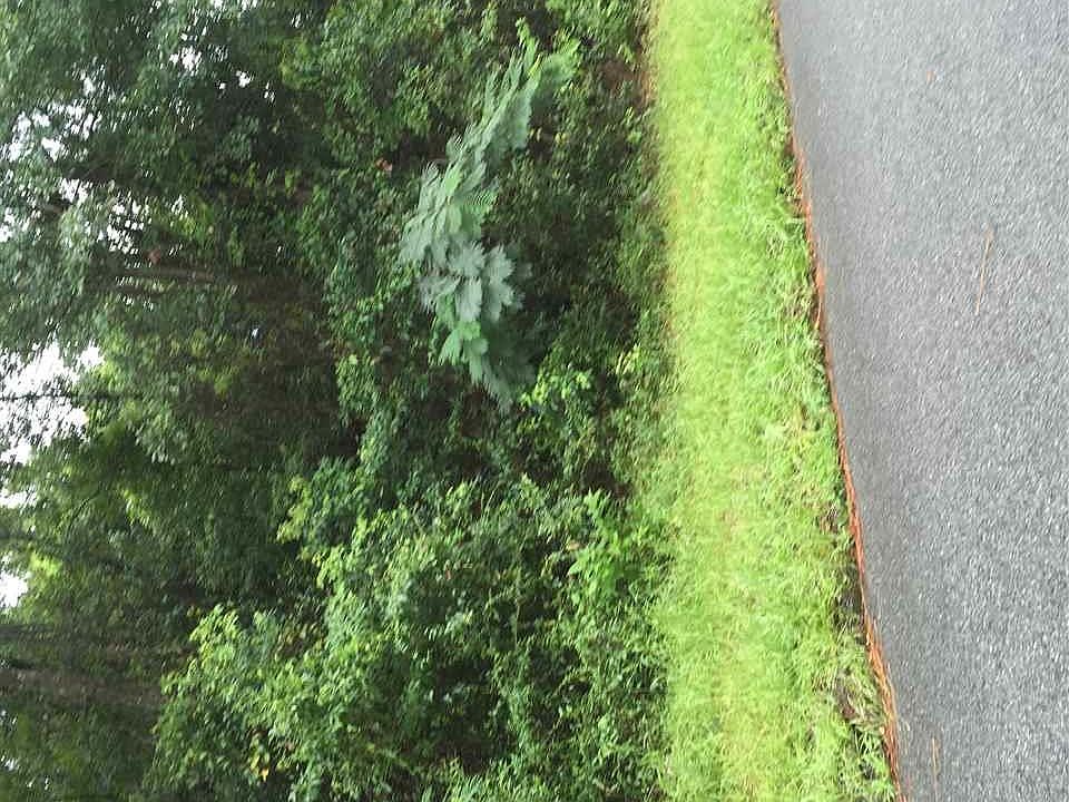 2nd image of Taylor St