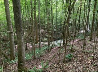 Cave Hollow Ln Lot 3-4, Savannah, TN 38372