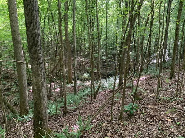 Cave Hollow Ln Lot 3-4, Savannah, TN 38372