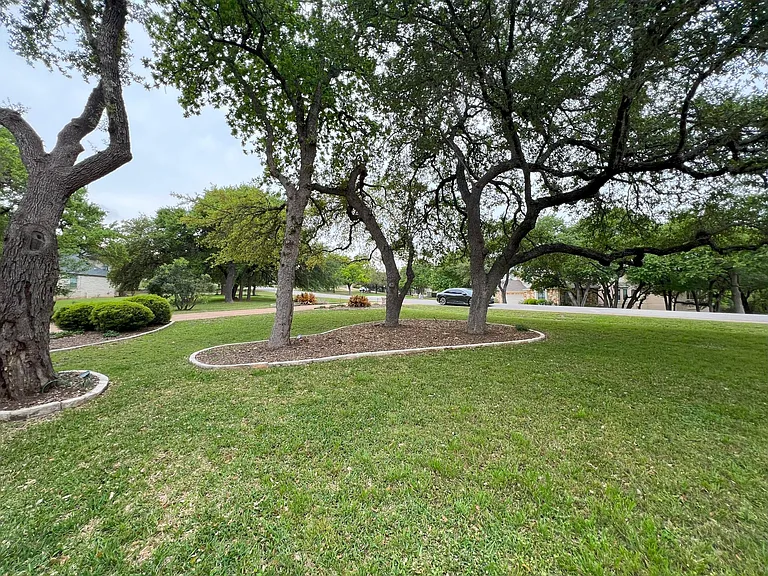lush front yard
