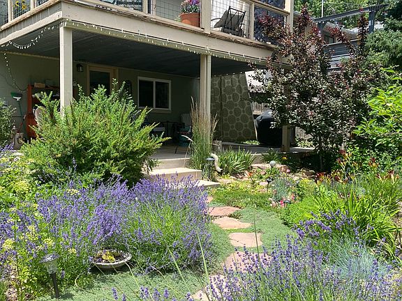Back yard and downstairs patio