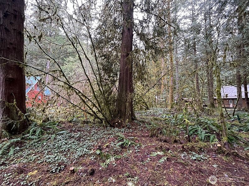 3rd image of 7138 Rainier Way