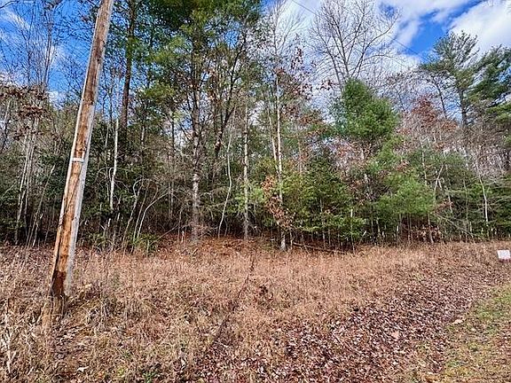 2nd image of 9 Timberline Rd