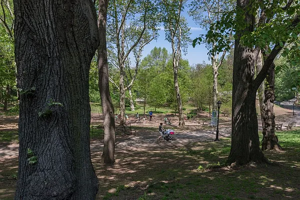 Rented by Sky Management | media 81