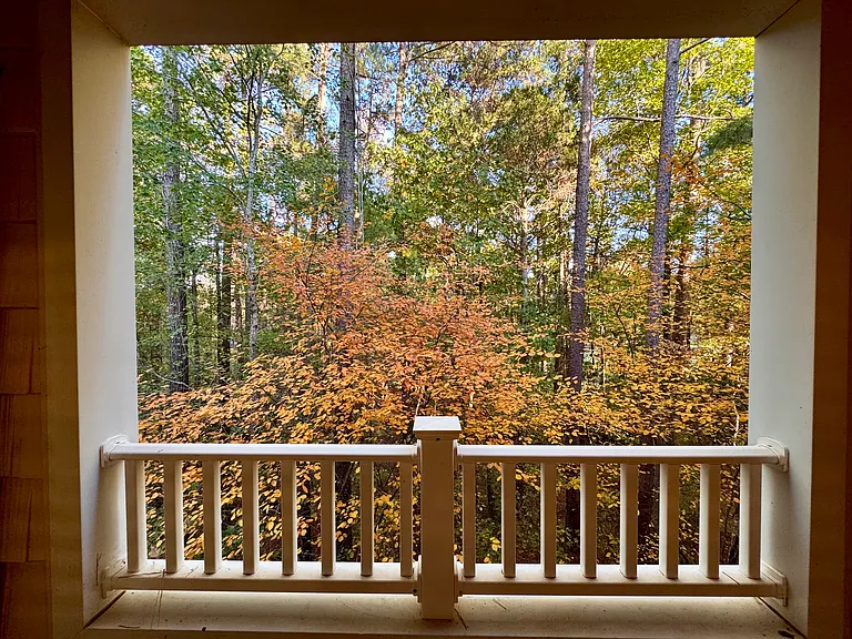 923 Providence Glen Dr #923 — Photo 14