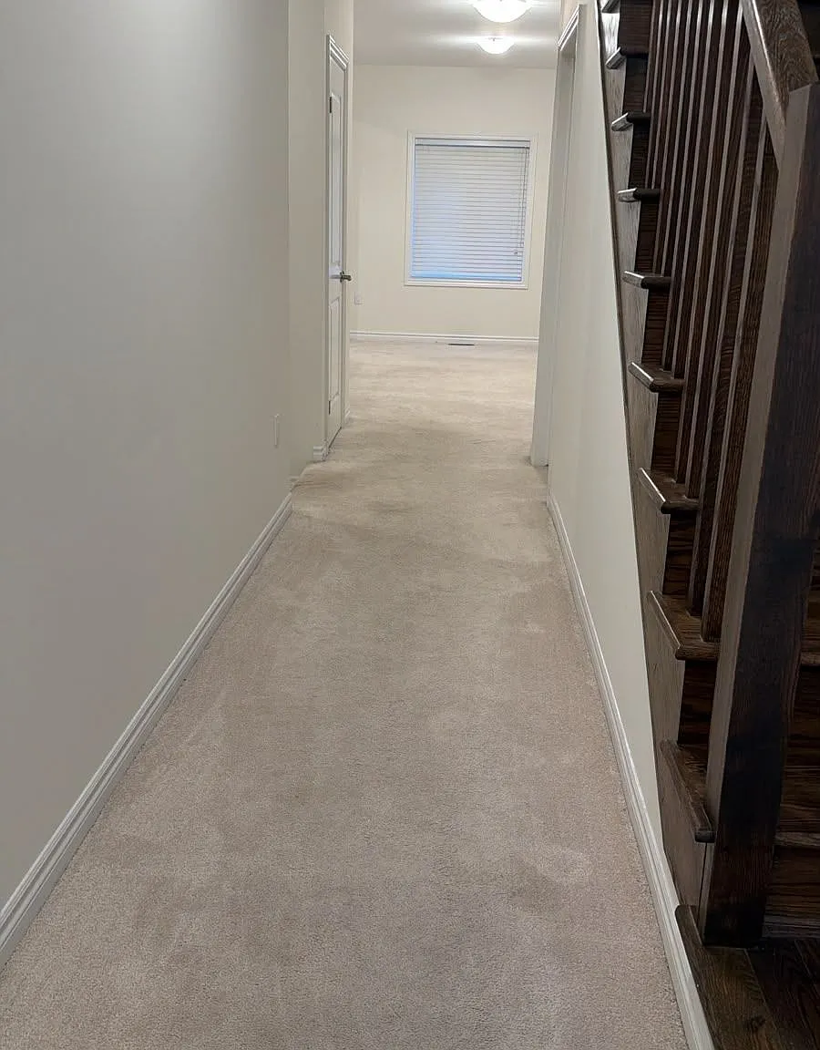 3 bed, $2,395 — Photo 3