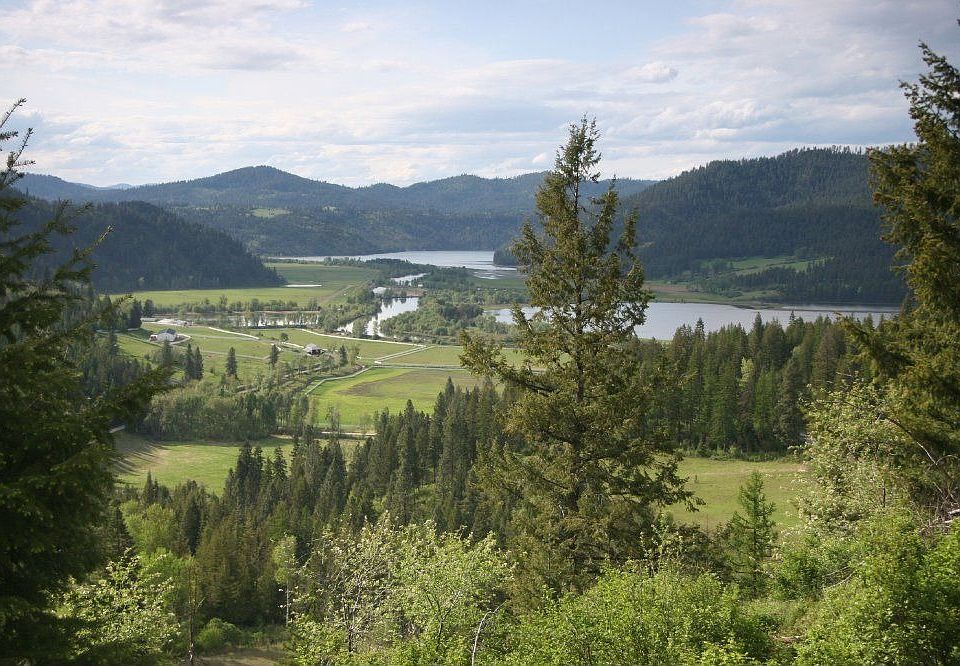 For Sale: 38079 S Hwy 3, St Maries, ID 83861