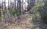 1st image of LOT 28 Duck Lake Dr