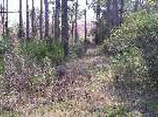 LOT 28 Duck Lake Dr, Fernandina Beach, FL 32034