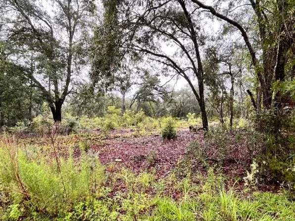 NE 122nd Ct, Bronson, FL 32621