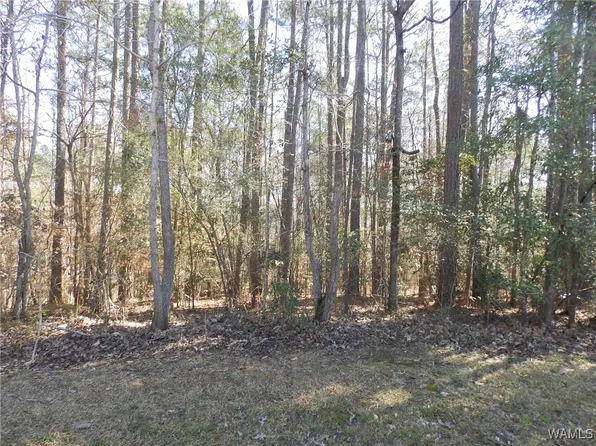 0 Daffron Rd, Cottondale, AL 35453