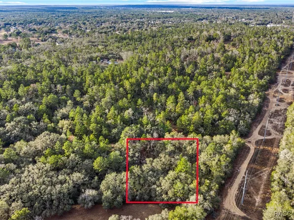 115 S Crestview Ave, Inverness, FL 34452