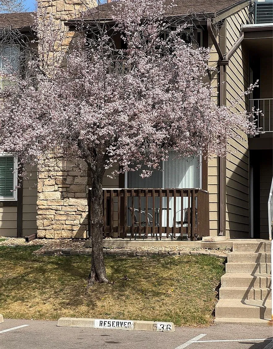 2 bed, 2.0 bath, 981 sqft, $1,675 — Photo 1
