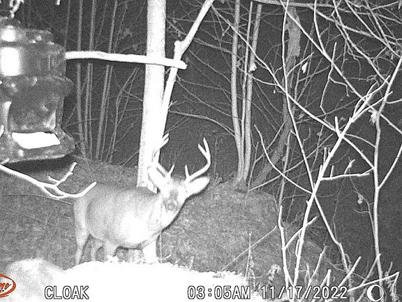 4th image of 951 Hellsneck Ln