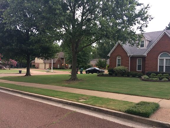 Large corner Lot