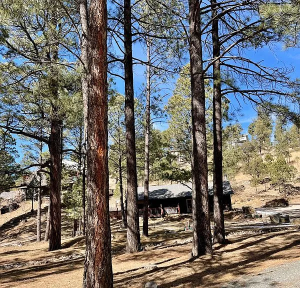213 White Mountain Meadows Dr — Photo 19