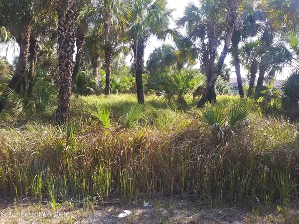 622 Heron Rd SW, Palm Bay, FL 32908