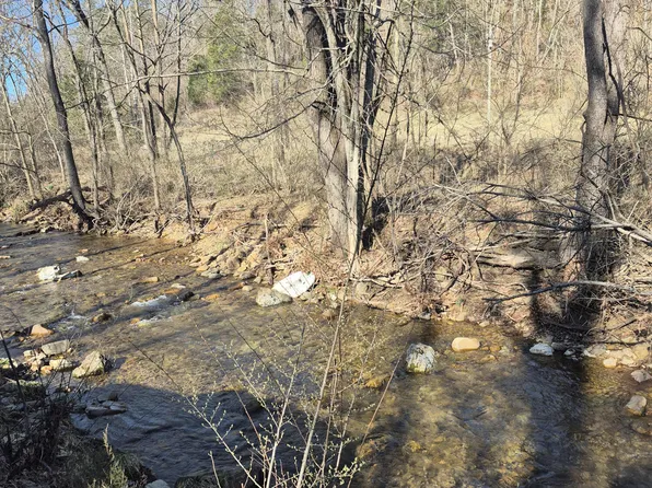 44 Walkers Dr, Buchanan, VA 24066