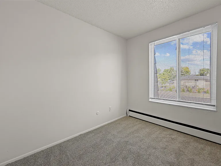 18 Ash Ct — Photo 36
